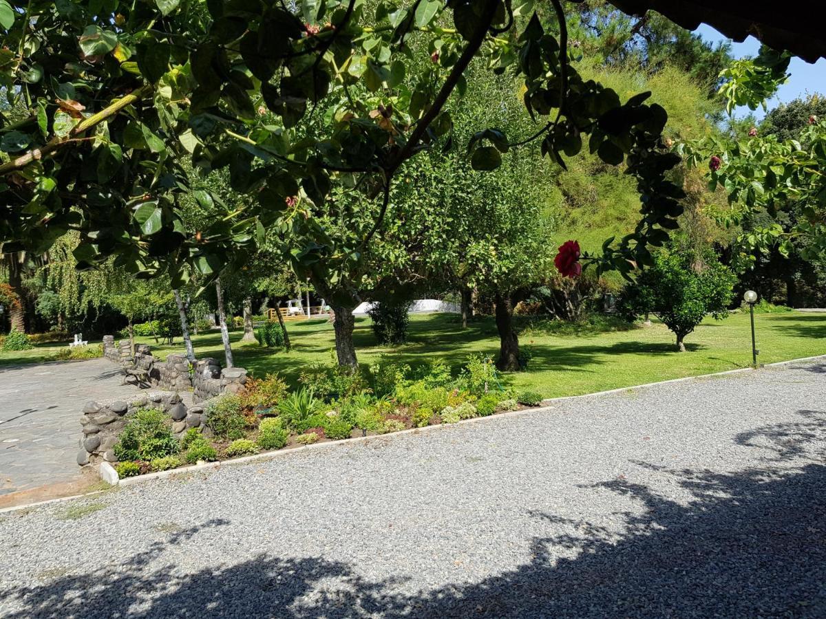Lodge Mirador Chillán Exterior foto