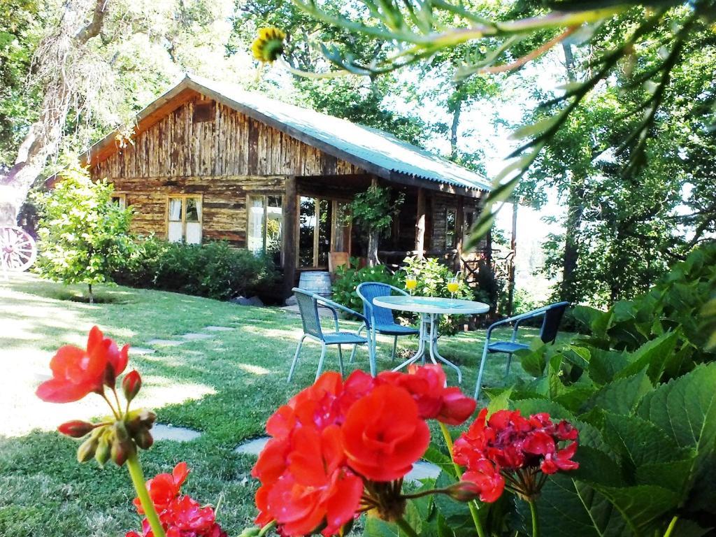 Lodge Mirador Chillán Exterior foto